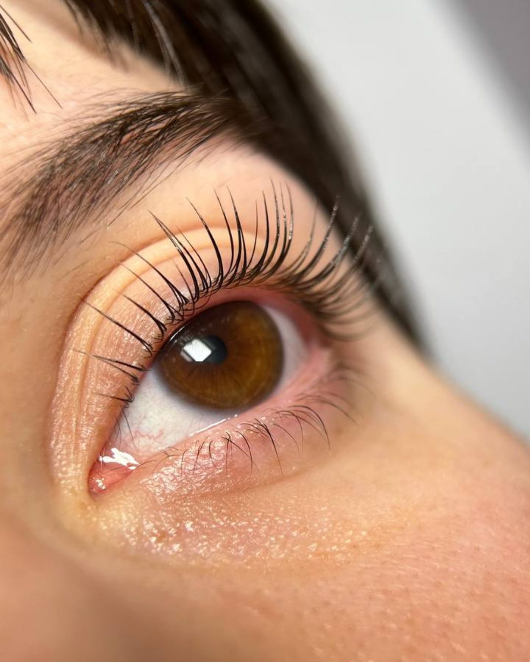 Lashlifting bei Soufi Beauty in Dresden